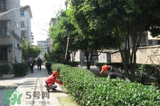 春天怎么预防感冒？春季如何预防流行性感冒？