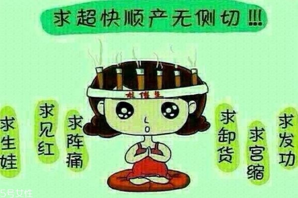 顺产茶什么时候开始喝 顺产茶可以帮助顺产吗