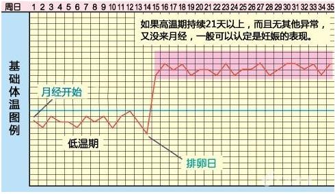 女性排卵期怎么算：教你最准确的排卵期怎么算？