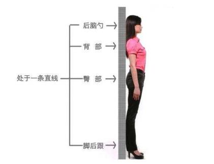 女生吃什么减肚子上的赘肉最快