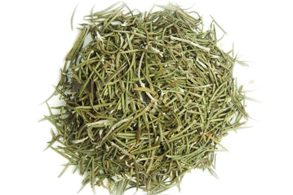 迷迭香茶价格 迷迭香茶隔夜还能喝吗