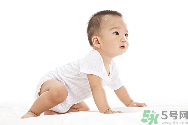 吃南瓜子可以打虫吗,南瓜子能打蛔虫吗？ 南瓜子可以驱虫吗