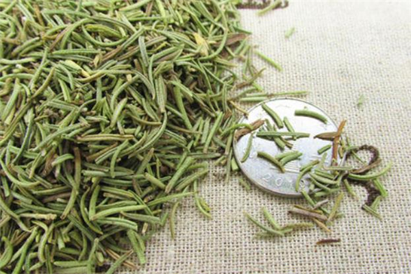 迷迭香茶价格 迷迭香茶隔夜还能喝吗