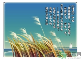 白露茶是什么茶？白露为什么要喝白露茶？