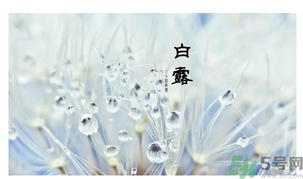 白露身不露是什么意思？白露还热吗？