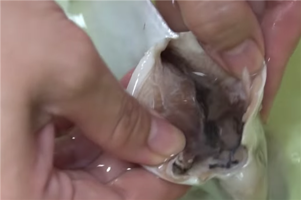 白鲳鱼怎么做好吃 酸甜可口番茄焖白鲳的做法 白鲳鱼怎么做好吃 酸甜可口番茄焖白鲳的做法