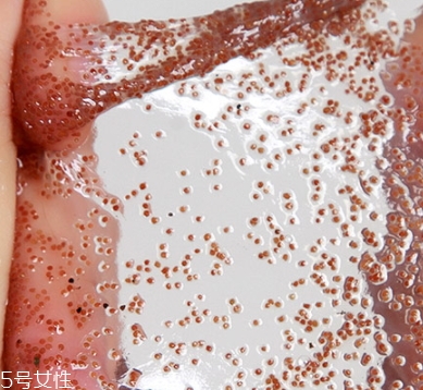 半亩花田海藻面膜怎么样？