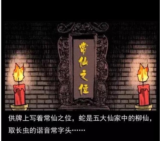 民间蛇家仙家谱全部名字，蛇家和常家一样吗？