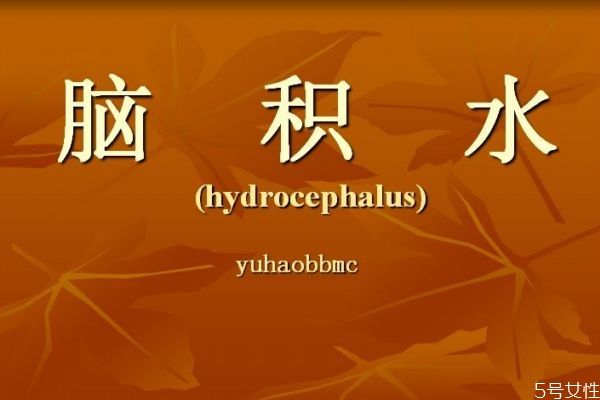 什么是脑积水呢 脑积水有什么危害呢