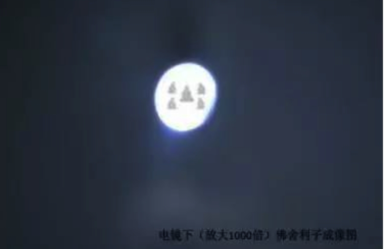 南怀瑾烧出多少舍利子？舍利子放大1000倍是什么样子