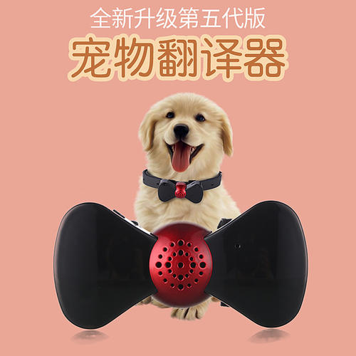 狗语言翻译器狗真的能听懂吗？简单的没问题复杂的就扯淡了