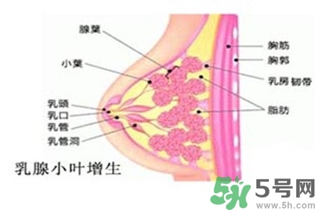 乳房上有硬块怎么办？乳房有硬块的病因是什么？