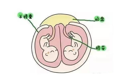
	女性促排卵后怀双胞胎几率大吗
