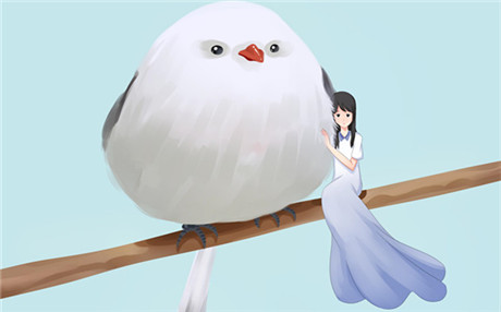 结婚后女人如何经营婚姻和家庭呢？