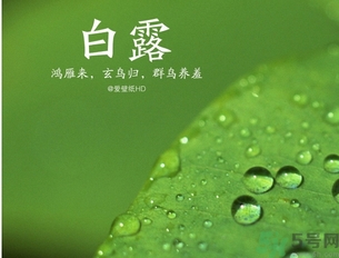 白露是什么意思？白露是几月几日