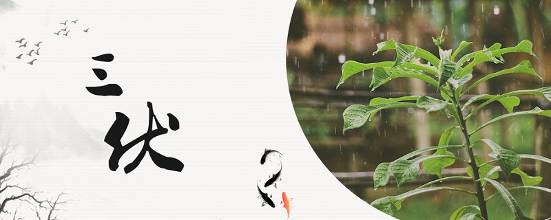 小暑是伏天吗 小暑的意思 