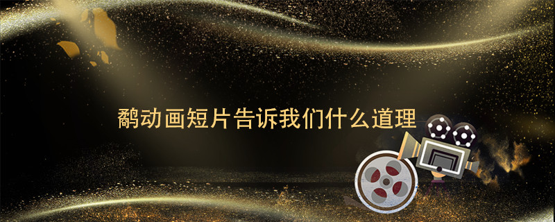 鹬动画短片告诉我们什么道理 鹬动画短片告诉我们啥道理 