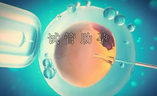 
	有效助孕的方法汇总
