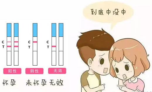
	为什么一深一浅没怀孕 只是机率大不是100%的
