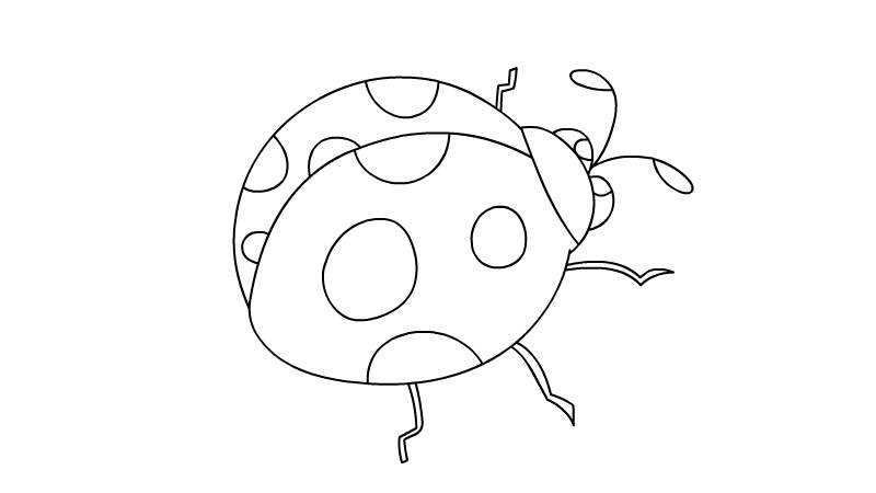 瓢虫插画简笔画 