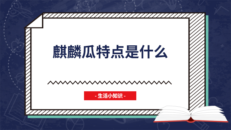 麒麟瓜特点是什么 