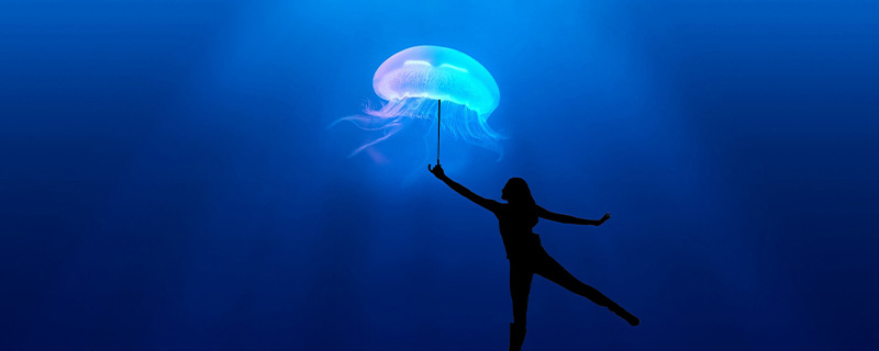 海蜇是水母吗 