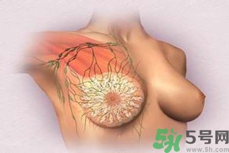 乳头发黑怎么办？怎么样可以使乳头变白？