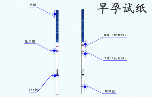 
	早孕试纸哪个牌子最早最准确(推荐6个品牌)
