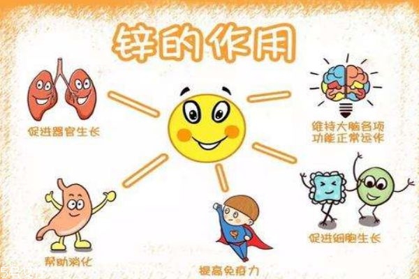 宝宝缺锌是什么引起的 8个方面要留心