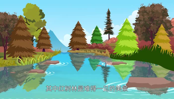 广州湾在哪里  广州湾在什么地方 