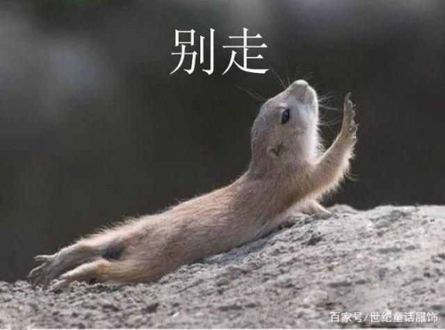 碰到那些“问题多”“不想买”的顾客该怎么做