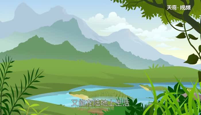 鳄鱼是哺乳动物吗 鳄鱼属于哺乳动物吗 