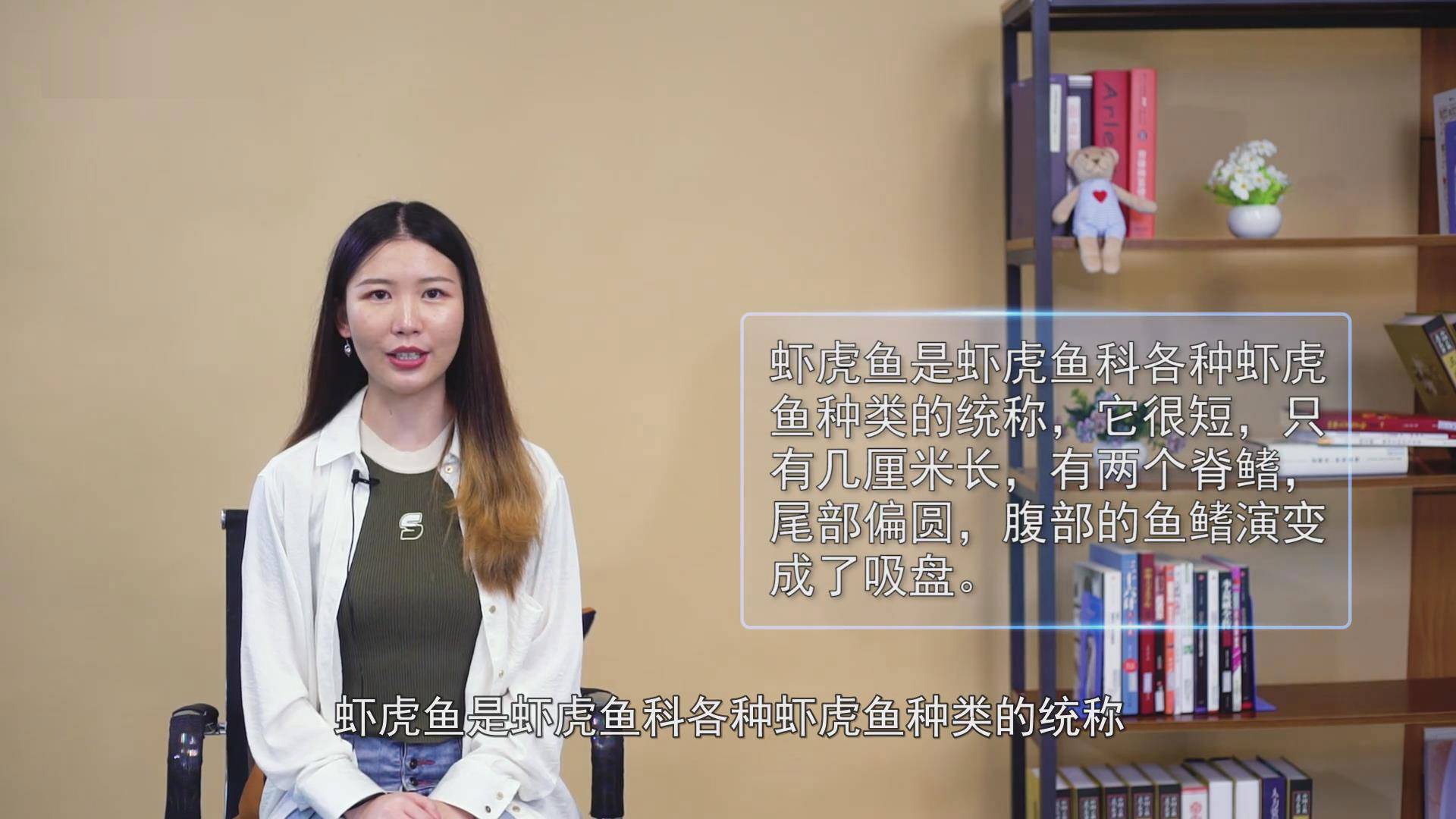 虾虎鱼是什么鱼 