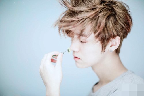 男生理想的白月光头发色图 使你天天好心情的头发色彩