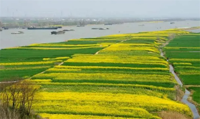西周建立起来的政治背景是什么 