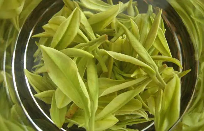 溧阳白茶是绿茶还是白茶 