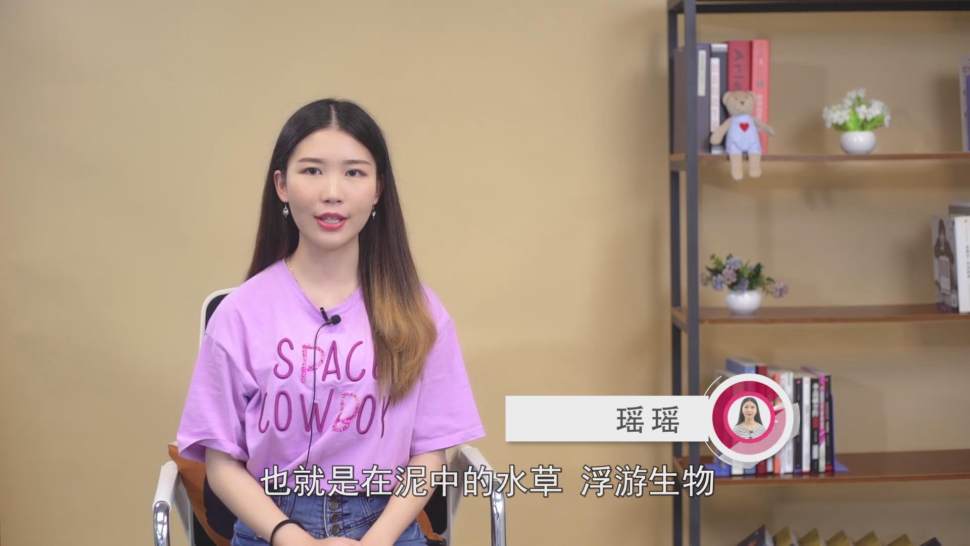 小虾吃什么 
