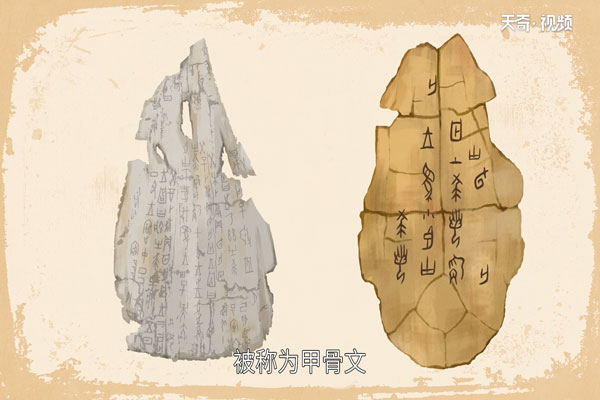 甲骨文的来历 