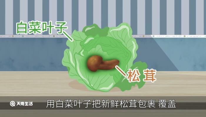 松茸怎么保存 松茸怎么保存好 
