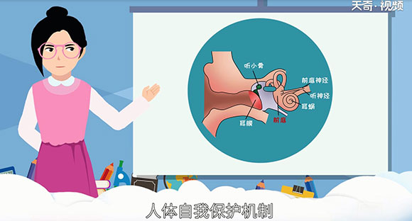 人为什么会晕车 