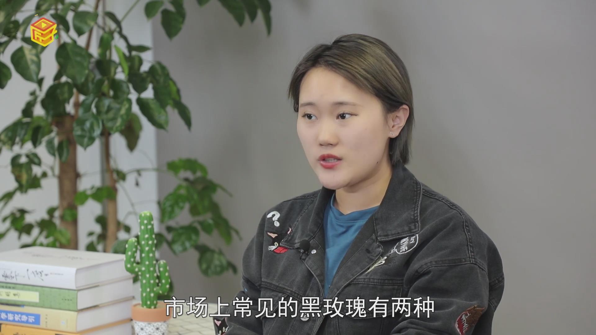 黑玫瑰花语是什么 