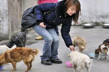 猫狗等宠物会感染新型冠状病毒吗？铲屎官该如何喂养宠物？