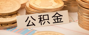 基金份额是什么意思 