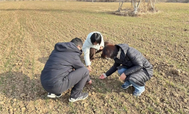 ​中国种子行业目前的现状是什么 