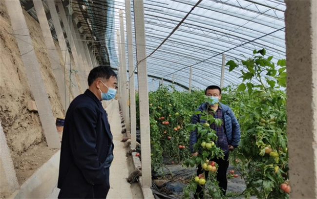 ​中国种子行业目前的现状是什么 