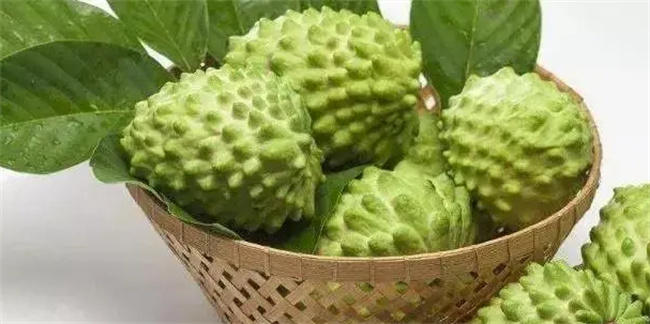 凤梨释迦和牛奶释迦是同一种水果吗 两者有什么区别 
