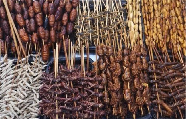 烧烤虫是符合卫生标准的食物吗 我国哪里烧烤最出名 
