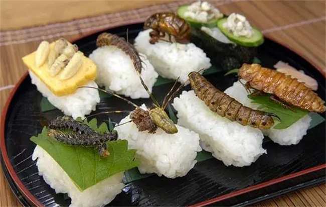烧烤虫类的售价高吗 最爱吃虫子的国家 