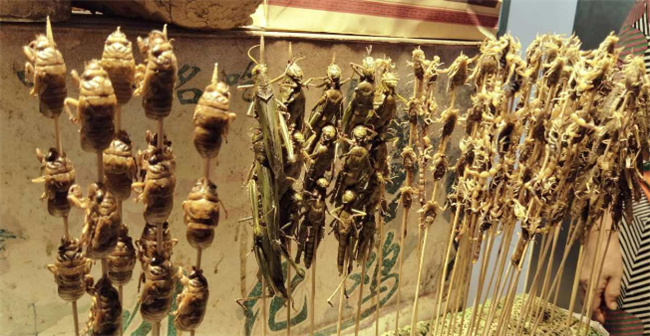 烧烤虫类的售价高吗 最爱吃虫子的国家 