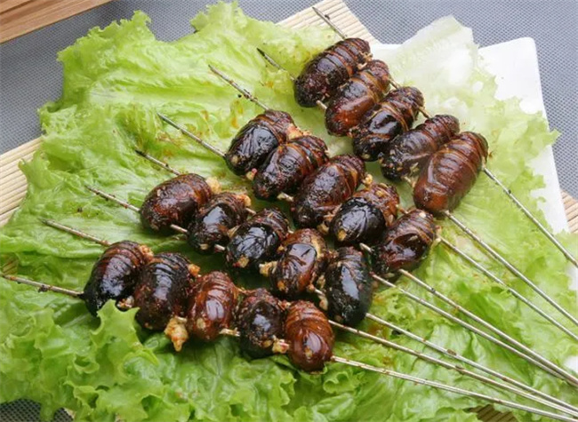 烧烤虫是符合卫生标准的食物吗 我国哪里烧烤最出名 